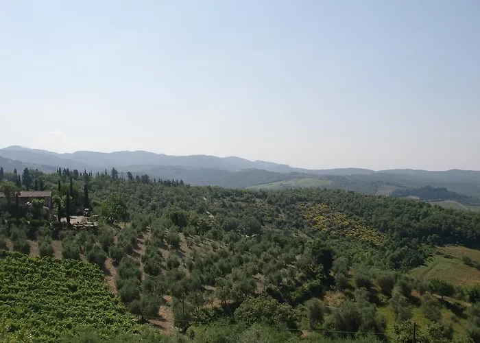 ベッド・アンド・ブレックファスト Brogi Vertine ガイオーレ・イン・キアンティ