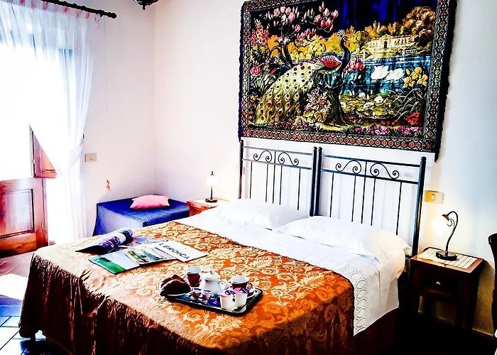 B&B Brogi Vertine 카이오레인챠안티