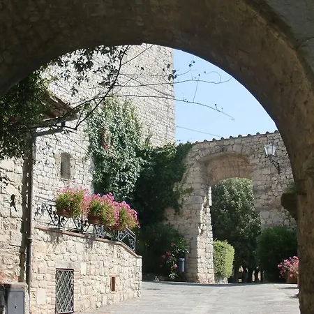 Brogi Vertine Gaiole in Chianti